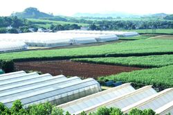 Thanh Hóa: Sẽ có nhiều thôn, bản đạt chuẩn nông thôn mới kiểu mẫu