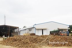 Nhà máy tinh bột sắn Sơn La vào vụ sản xuất