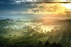 Lâm Đồng đón đầu xu hướng đầu tư bất động sản 'bỏ biển về đồi'
