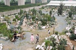 'Sa mạc thu nhỏ' giữa lòng Hà Nội