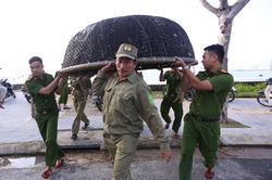 Đà Nẵng cấm tàu thuyền ra khơi