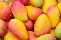 Mỹ tăng nhập khẩu xoài Việt Nam