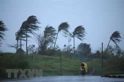 Philippines: Bão Vamco gây ngập lụt trên diện rộng ở thủ đô Manila