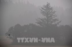 Argentina được viện trợ 82 triệu USD giúp giảm phát thải carbon