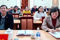 Hội nghị báo cáo viên trực tuyến toàn quốc tháng 11/2020