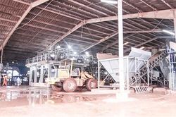 Nông dân Hướng Hóa lo lắng vì nhiều diện tích sắn bị hư hại