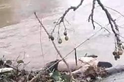 Phát hiện thi thể nam thanh niên bên bờ sông Lợi Nông
