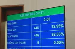 Quốc hội thông qua dự toán ngân sách 2021, chưa điều chỉnh lương cơ sở