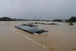 Bão Vamco càn quét, Manila bị nhấn chìm trong biển nước