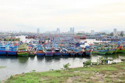 Hoàn thành công tác phòng chống bão Vamco trước 15 giờ ngày 13-11