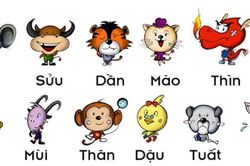 Dự đoán ngày 14/11/2020 cho 12 con giáp: Dậu tiền bạc rủng rỉnh