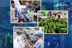 Nhà nước không thiên vị thành phần kinh tế nào