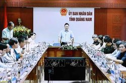 Quảng Nam hoàn thành các phương án ứng phó bão trước 12 giờ ngày 14/11