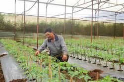 Liên kết là mấu chốt của sản xuất ứng dụng công nghệ cao ở Hiệp Thạnh