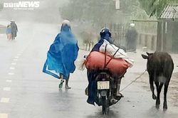 Hà Tĩnh cấm biển từ 17h ngày 13/11 để đối phó bão số 13