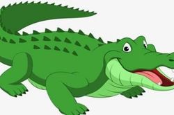 Câu chuyện con cá sấu và 3 bài học vàng khi đầu tư chứng khoán