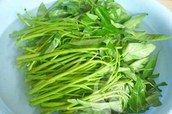 Hướng dẫn cách chọn và sơ chế rau muống an toàn