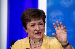 IMF kêu gọi áp dụng chính sách tài chính hiệu quả để phục hồi kinh tế