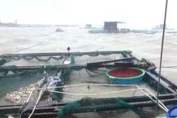 Bão số 13 giật cấp 16, nhiều tỉnh thành yêu cầu người dân không ra khỏi nhà