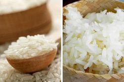 Gạo nếp nương vùng cao