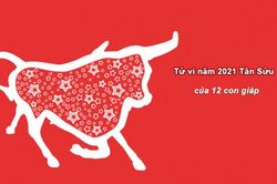 Vận số của 12 con giáp trong năm 2021