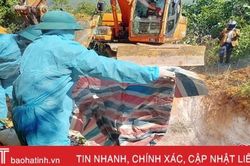 Hà Tĩnh chủ động khoanh vùng dịch tả lợn châu Phi trong phạm vi hẹp