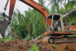 Sóc Trăng: Khẩn trương khắc phục, gia cố đê bao để ứng phó với triều cường