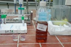 Ngộ độc rượu methanol: Người dân cần thận trọng, nhân viên y tế cảnh giác