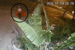 Bỏ của chạy lấy thân