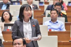 ĐBQH đề nghị Quốc hội trả dự án Luật về cho Chính phủ nghiên cứu như 'trả hồ sơ điều tra lại'