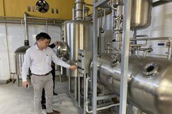 Tách chiết axit chlorogenic từ hạt cà phê xanh: Nguồn nguyên liệu tiềm năng