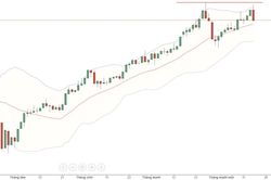 Blog chứng khoán: Bull-trap to