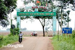 Thực hiện chính sách bồi thường, hỗ trợ đối với đất 'giấy tay'