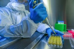Phát hiện virus lạ gây chết người ở Bolivia