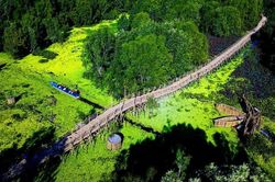 Khám phá rừng tràm Trà Sư - bức tranh thủy mặc giữa đại ngàn rừng tràm
