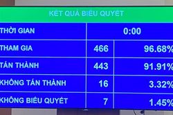 Chỉ dự án Nhóm I mới phải đánh giá sơ bộ tác động môi trường