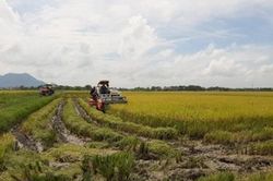 TIẾP BƯỚC ANH HÙNG
