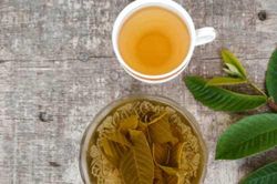 Không chỉ ngừa tiểu đường, nước lá ổi còn gây bất ngờ với tác dụng điều trị ung thư