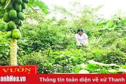 Hội Đông y tỉnh Thanh Hóa phát triển y dược cổ truyền trong khám, chữa bệnh