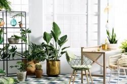 Mua lại nhà gia chủ tuyệt đối không dùng đồ vật này kẻo ảnh hưởng phong thủy làm 'hao tài, hao lộc'