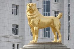 Tổng thống Turkmenistan cho xây tượng vàng của quốc khuyển