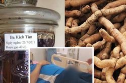 Cương dương suốt 30 giờ sau khi uống rượu ba kích: Ba kích 'kích' đến độ nào?