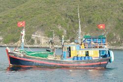 Tàu cá hợp sức 'tác chiến' trên biển
