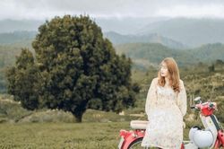 Bạn có tin không? 'Săn lùng' cây thông mập ú 'khi đi lẻ bóng khi về có đôi' ở Đà Lạt