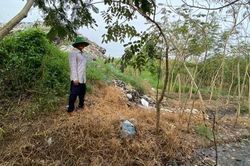 Tìm phương án khắc phục bãi rác xã Kiến An