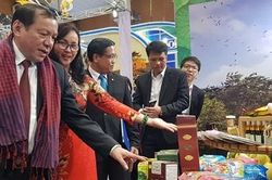 10.000 tour du lịch kích cầu và 100.000 vé máy bay giá rẻ