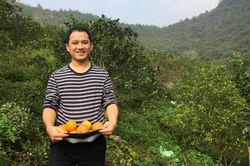 Ứng dụng FoodHub: Đưa nông sản sạch từ nông trại đến bàn ăn