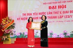 Phát huy tinh thần tương thân tương ái, nâng cao hiệu quả hoạt động của Hội Chữ thập đỏ