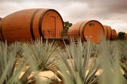 Qua đêm tại 'Thùng Rượu' giữa thị trấn Tequila