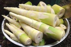 Mẹo khử sạch vị đắng của măng tươi đơn giản trong vòng '1 nốt nhạc'